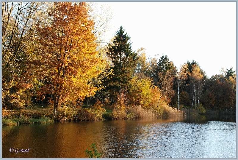 Herfstkleuren Beverbeek.JPG - Herfstkleuren Beverbeek